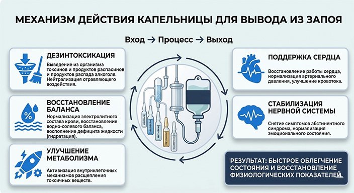 Подробная медицинская инфографика, объясняющая механизм действия капельницы при выводе из запоя.